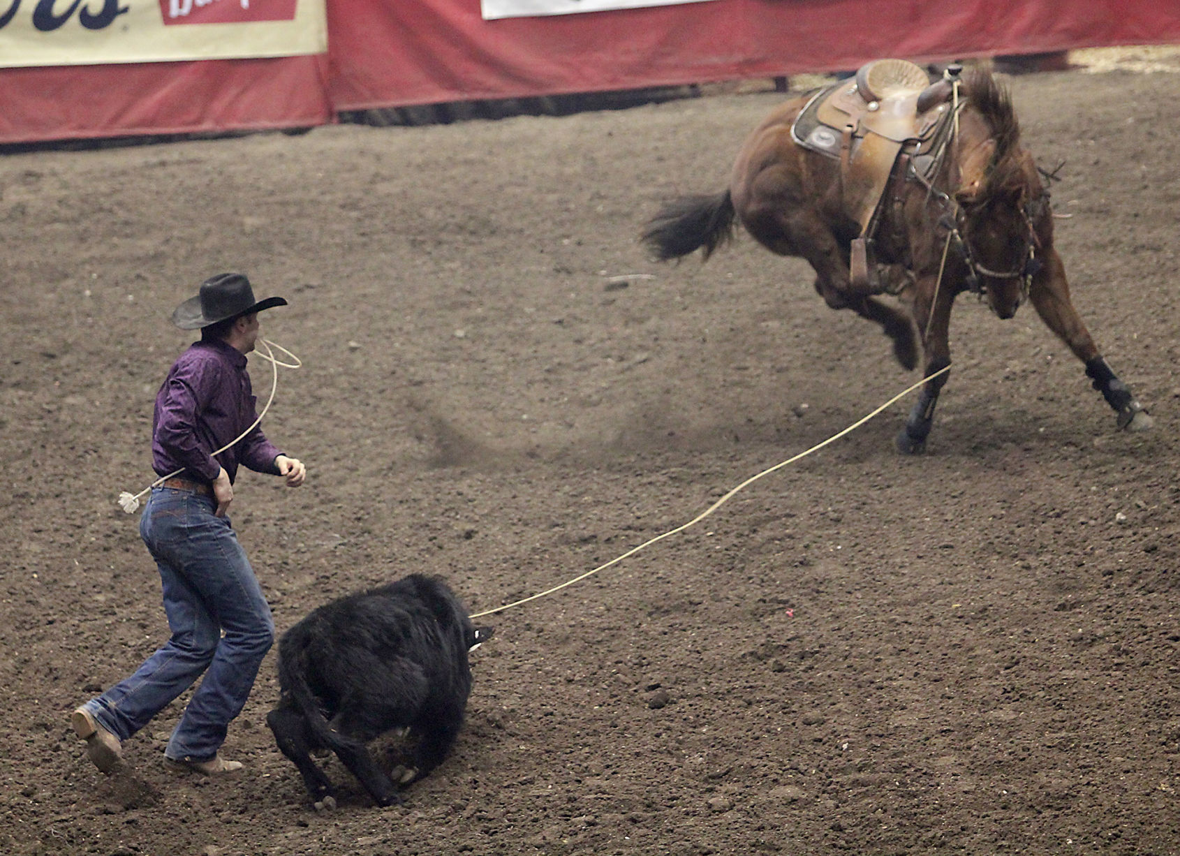 Rodeo 4.jpg